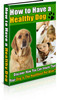 Thumbnail GUIDE TO KEEPING A HEALTHY & HAPPY DOG!